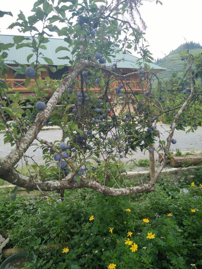 Flower Hmong Homestay Bac Ha  Kültér fotó