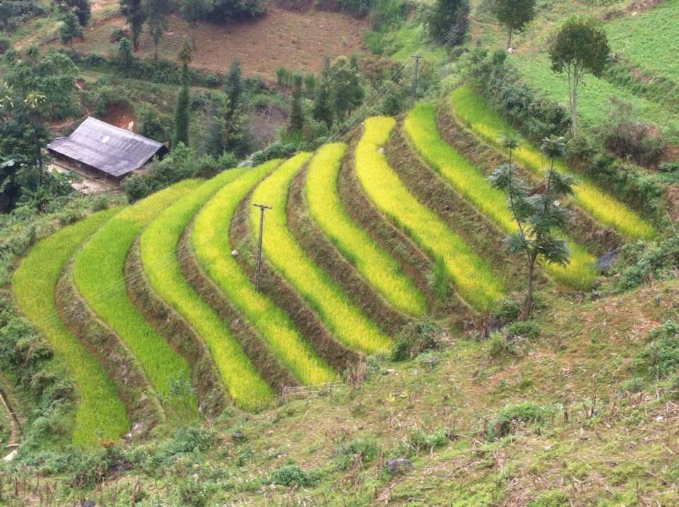 Flower Hmong Homestay Bac Ha  Kültér fotó