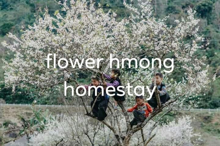 Flower Hmong Homestay Bac Ha  Kültér fotó